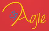 Santa Barbara Agile - Building Antifragile Relationships and Teams