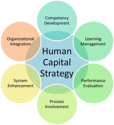 Human capital business diagram management strategy concept chart illustration