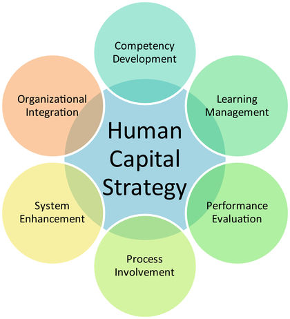 Human Capital Is An Important Resource For