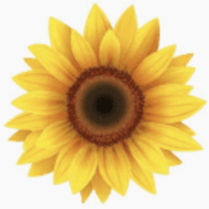 Profile photo of Jean Mitchell